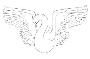 Лебеди рисунок карандашом