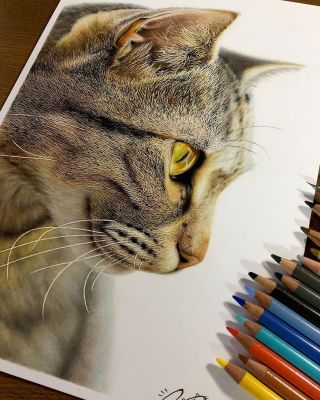 Кот рисунок реалистичный
