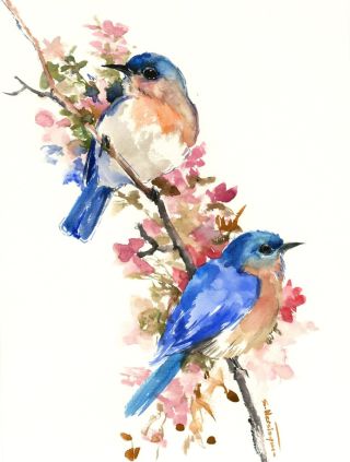 Нарисованные птички