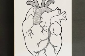 Сердце человека рисунок карандашом для срисовки