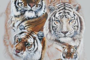 Рисунок двух тигров