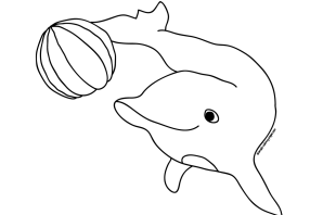 Дельфинчик раскраска