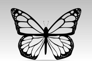 Бабочка векторный рисунок