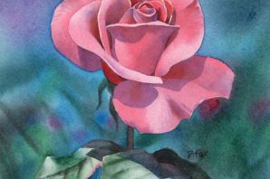 Роза цветок рисунок