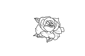 Простая роза рисунок