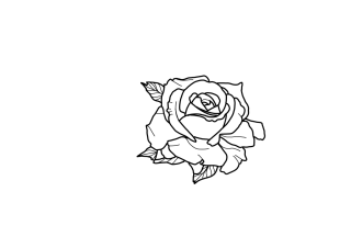 Простая роза рисунок