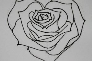 Роза для срисовки легкие
