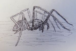 Легкие рисунки паучков