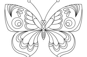 Бабочка раскраска для дошкольников