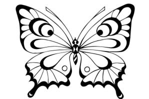 Бабочки для раскрашивания детям