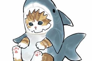 Раскраска котик в костюме акулы