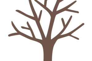 Шаблон дерева без листьев для аппликации
