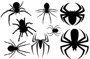 Раскраска паук на хэллоуин
