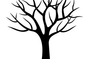 Шаблон дерева без листьев для рисования