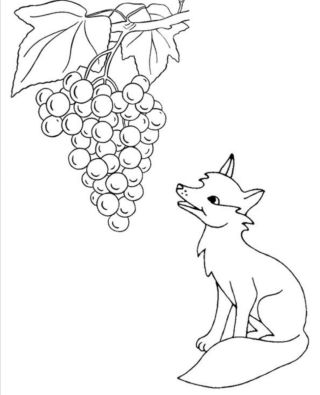 Лиса и виноград рисунок карандашом