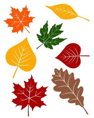 Разноцветные осенние листья рисунок для вырезания