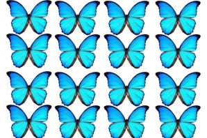Голубые бабочки шаблон