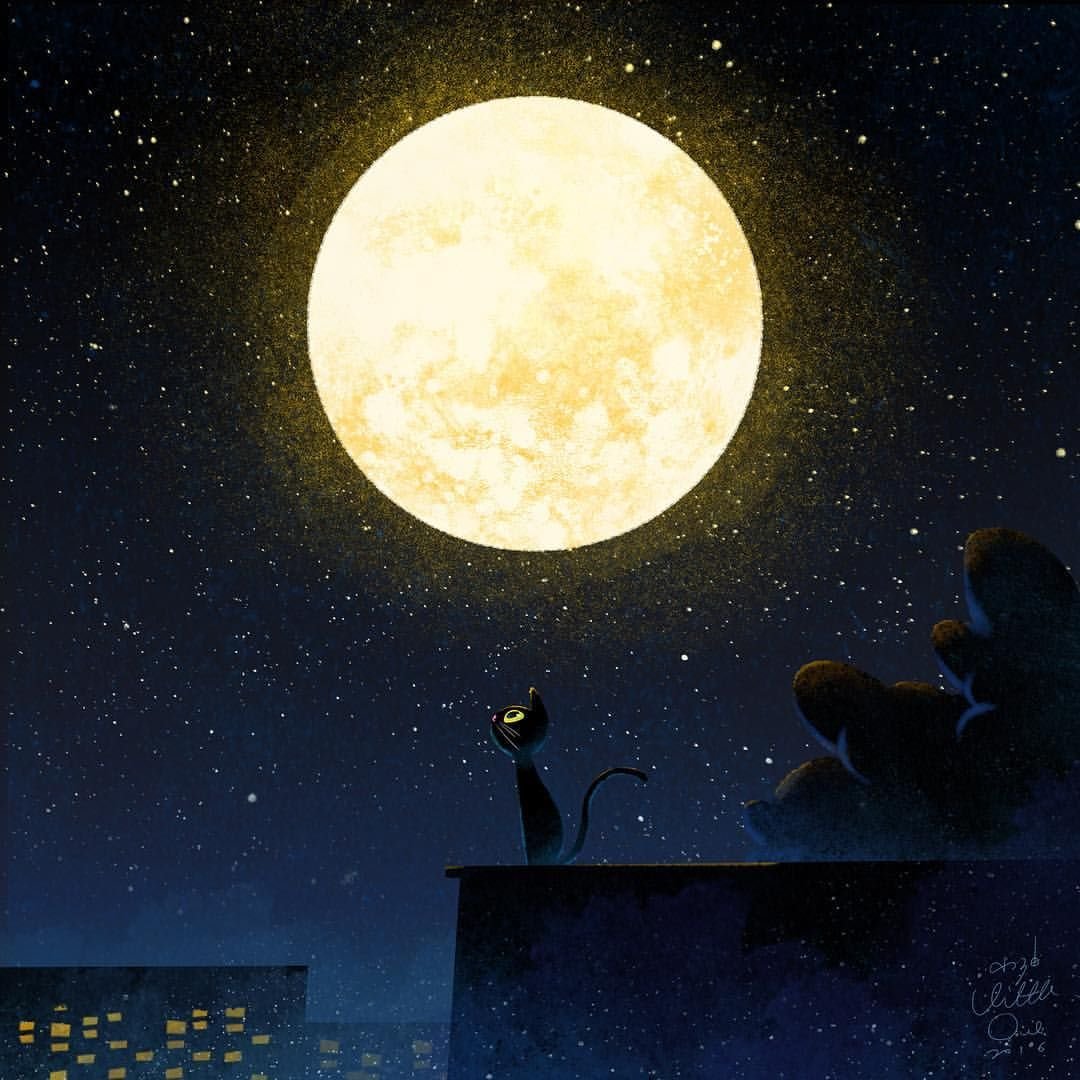 Ночь полная звезд. Ночь с полной луной. Ночь рисунок. Ночная Луна. Ночное небо с луной.