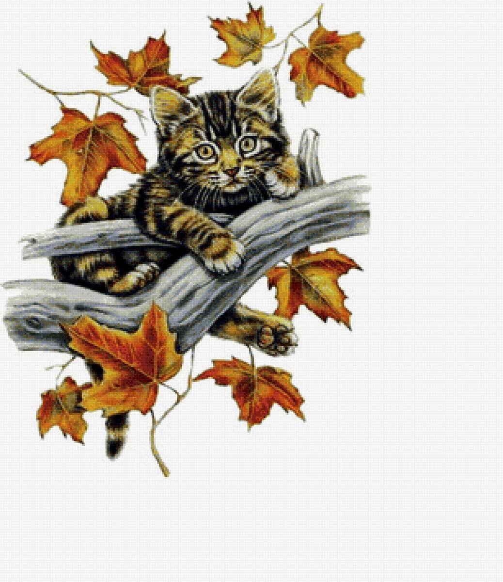 Кошка осень рисунок