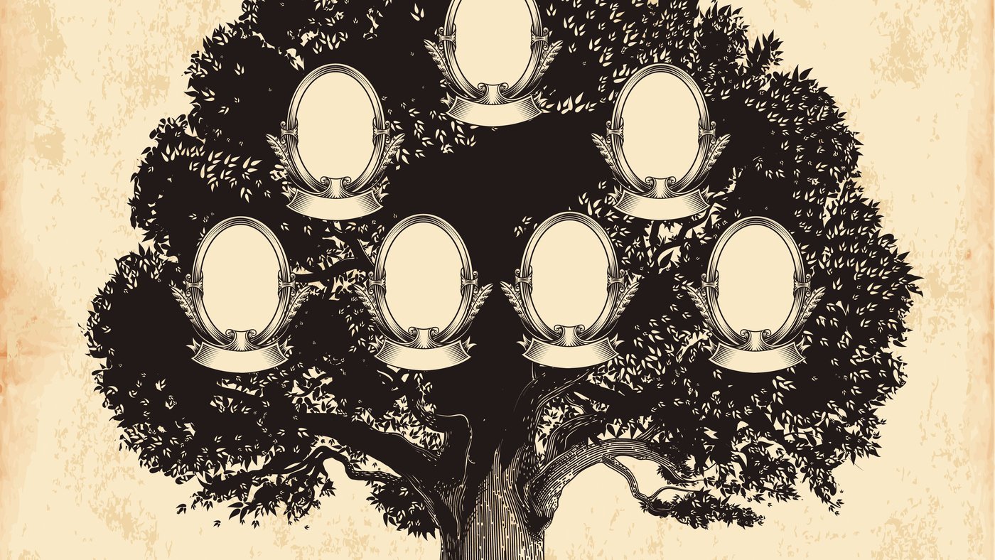 Семейное древо итадори. Генеалогическое дерево Бенуа. Семейное Древо семьи Адамс. Генеалог Древо жизни. Родословная дерево.