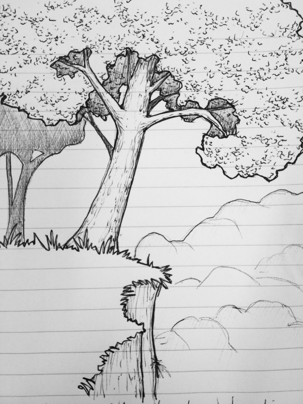Лес рисунок карандашом для срисовки