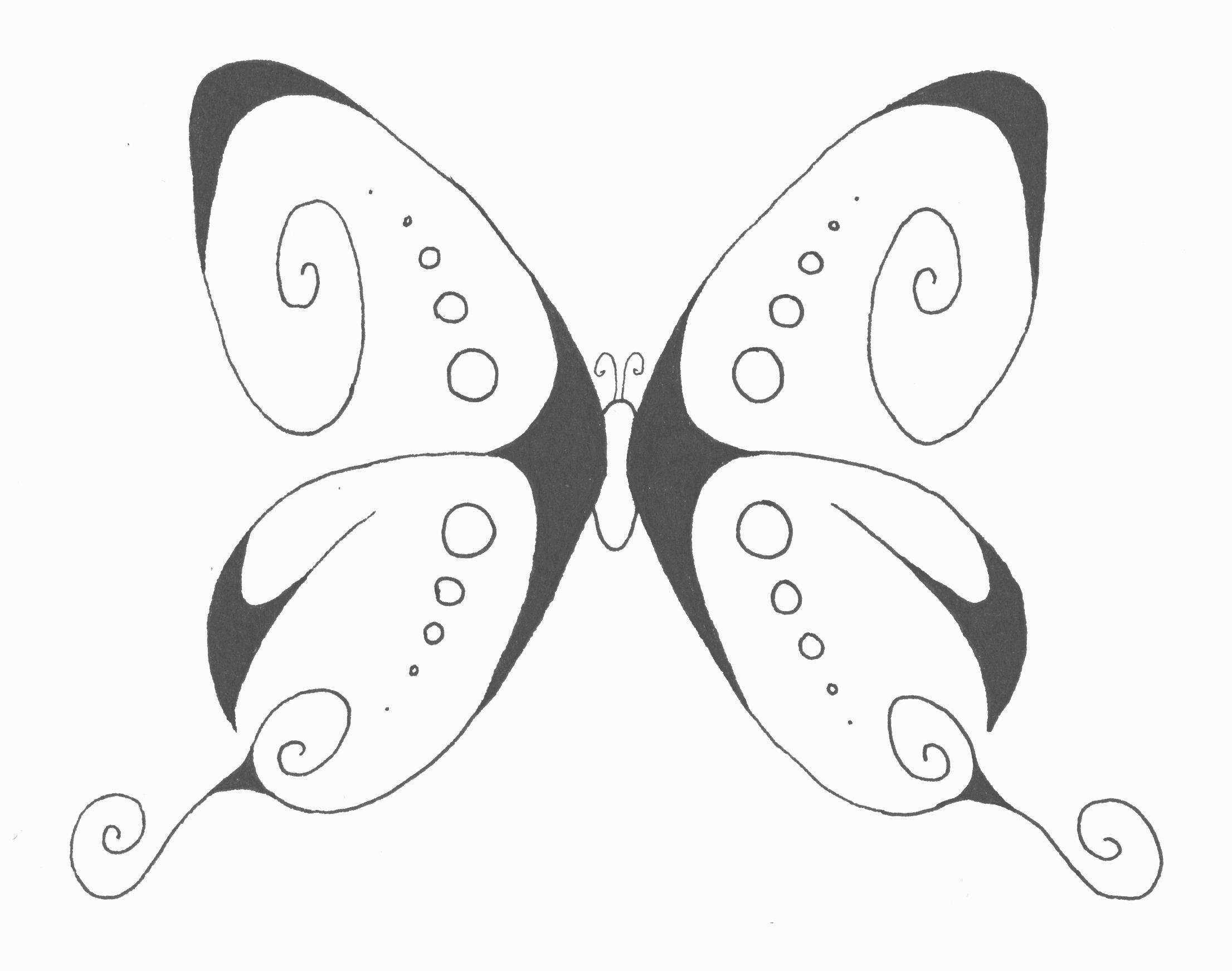 Картинки бабочек для срисовки