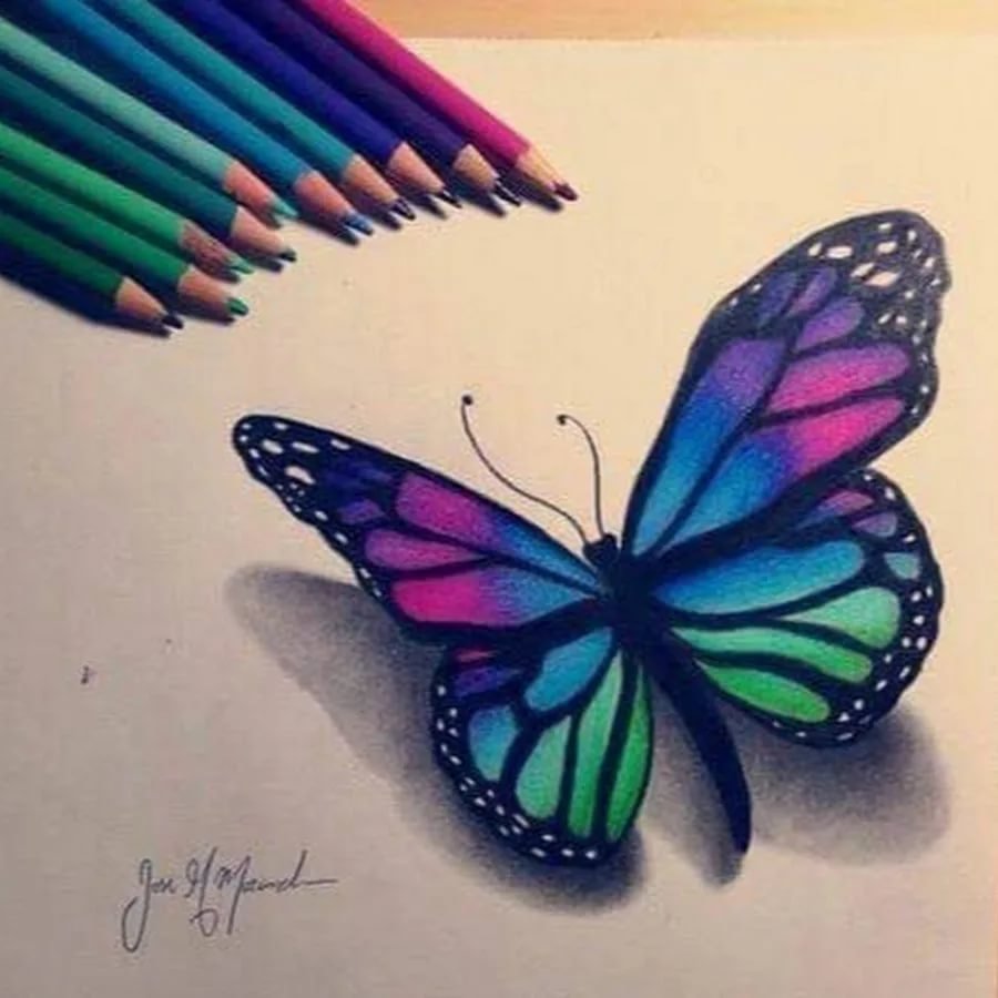 Бабочка карандашом для детей