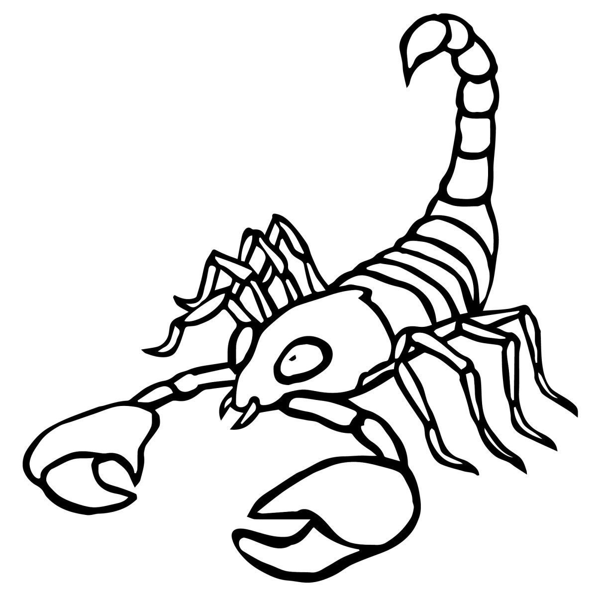 Рисунок скорпиона карандашом для срисовки