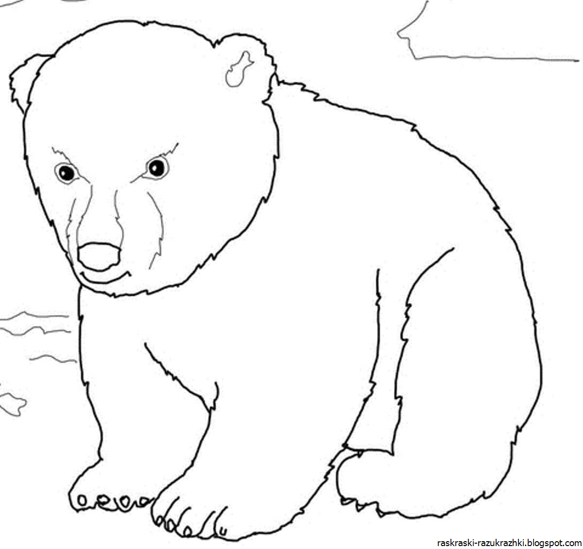Раскраска медведь для детей 2 3 лет. Медведь раскраска. Медведь раскраска для детей. Медведь рисунок. Белый медведь раскраска для детей.