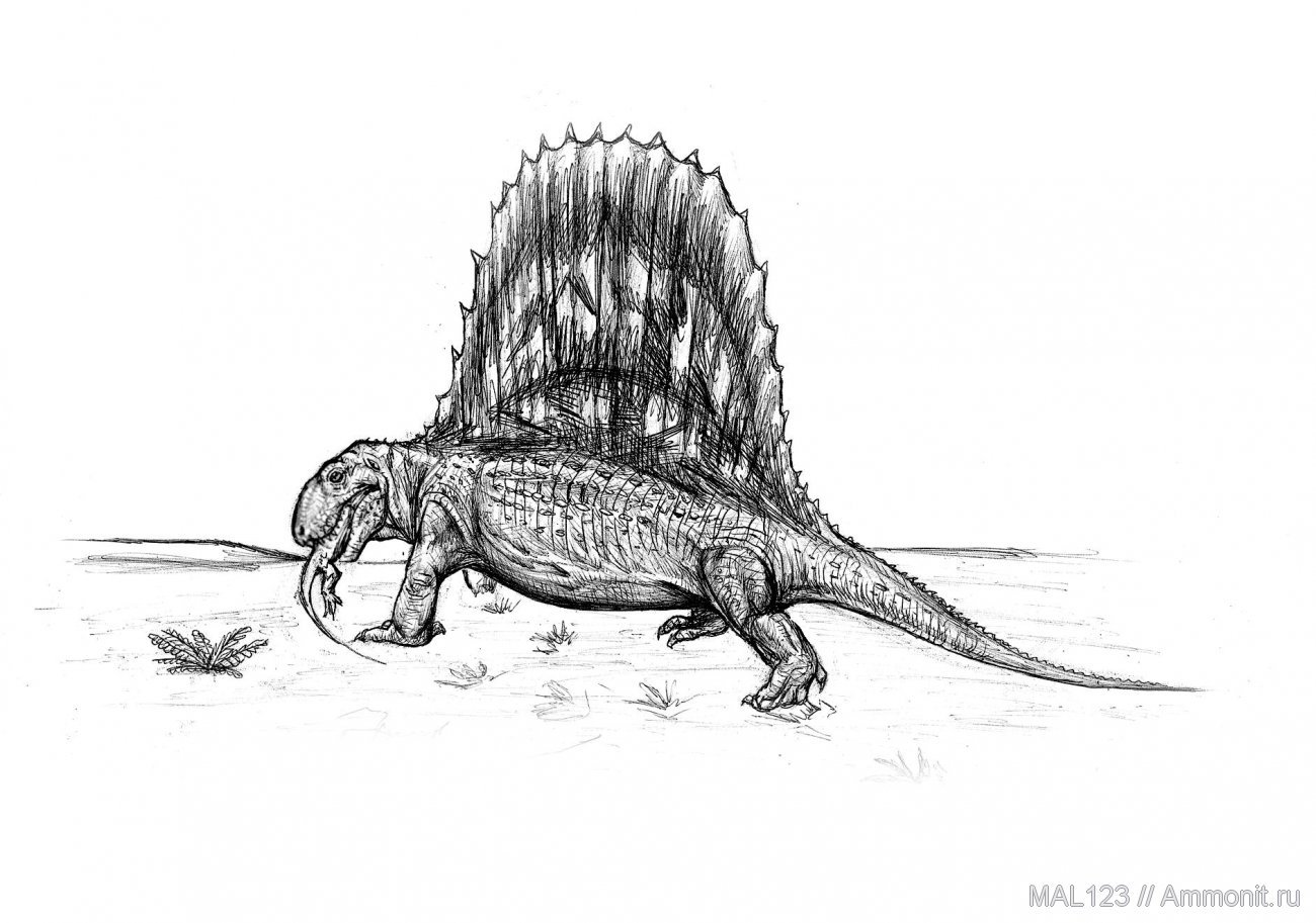 Зигозавр. Диметродон палеоарт. Пермский период Диметродон. Диметродон динозавр. Диметродон динозавр раскраска.