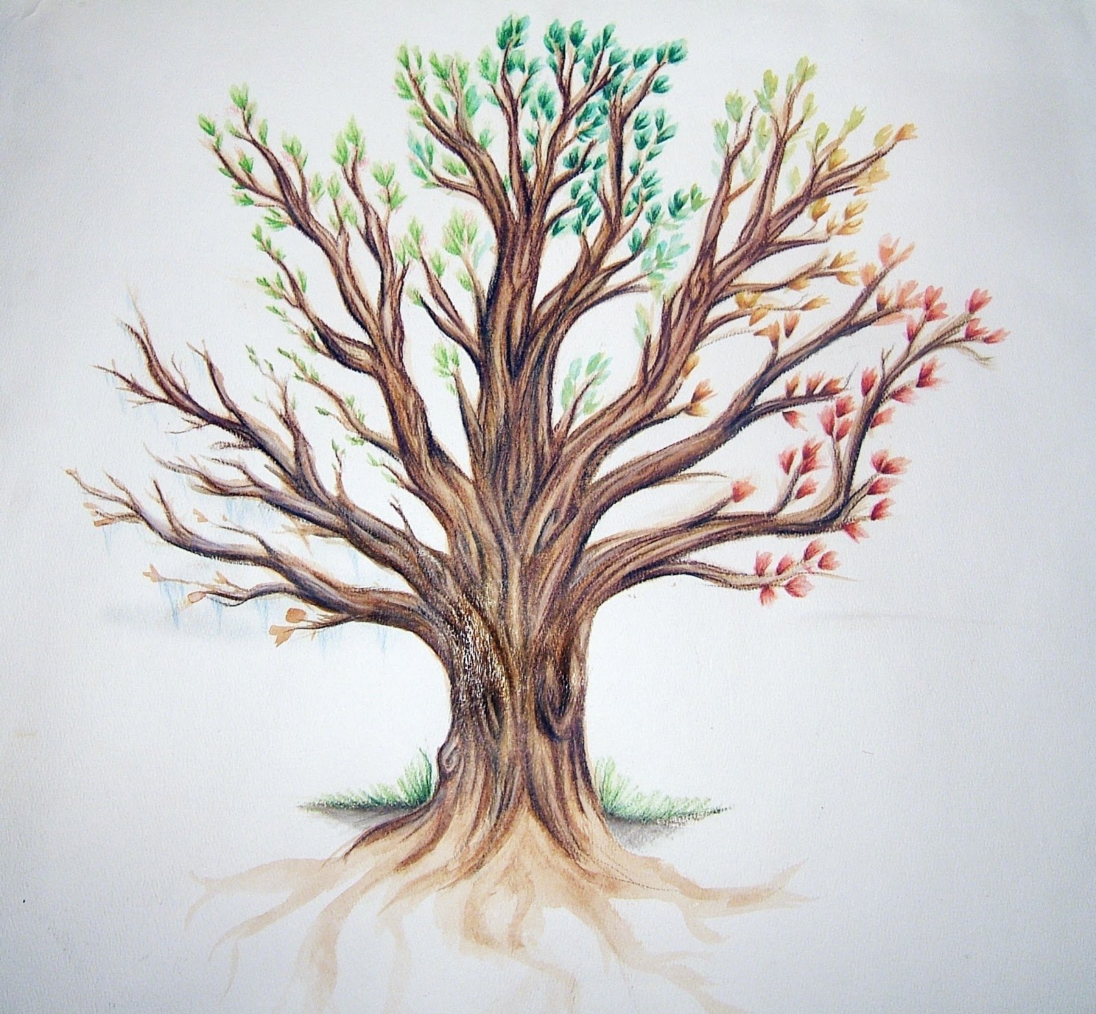 Включи tree. Нарисовать дерево. Дерево цветными карандашами. Стилизация дерева.