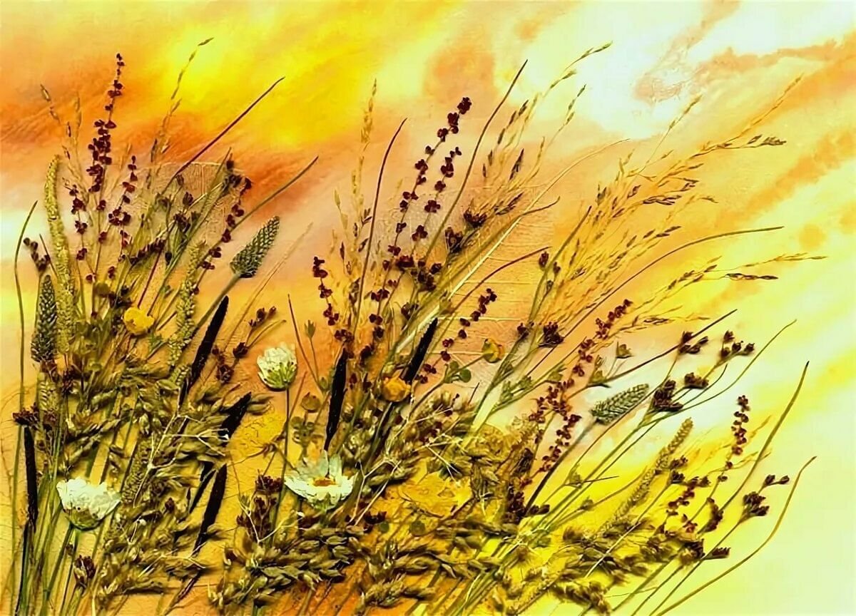 Купить Вышивку Сухие Травы