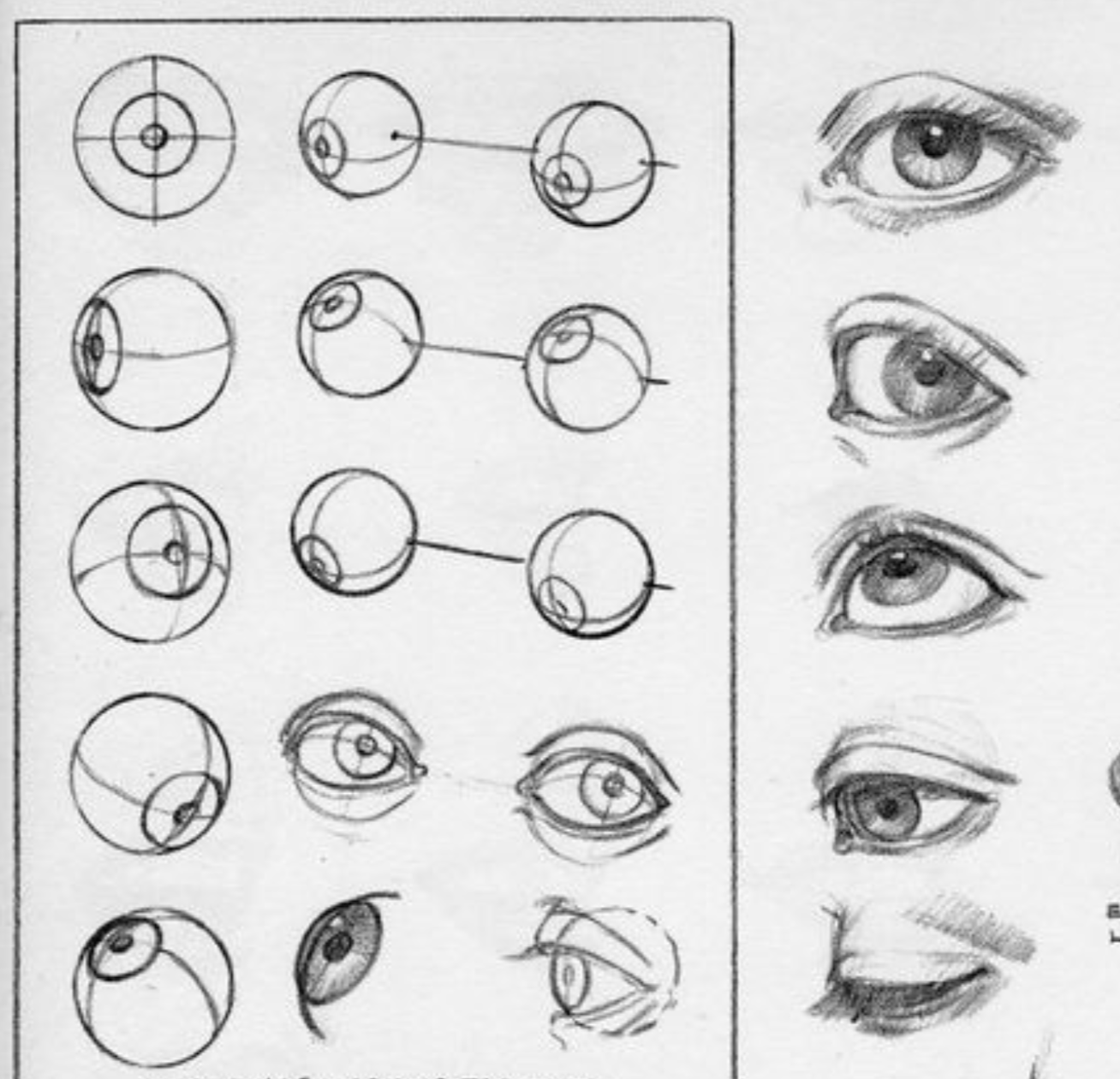 Глаз чертеж. Глаза референс анатомия. Уроки рисования глаз. Рисование глаз в разных ракурсах. Схема рисования глаз.