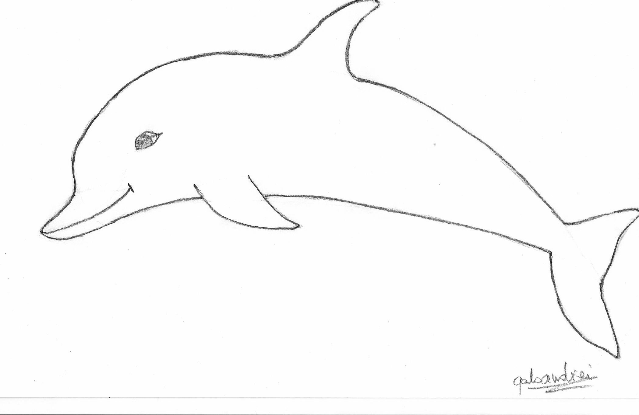 Дельфин рисунок карандашом для срисовки