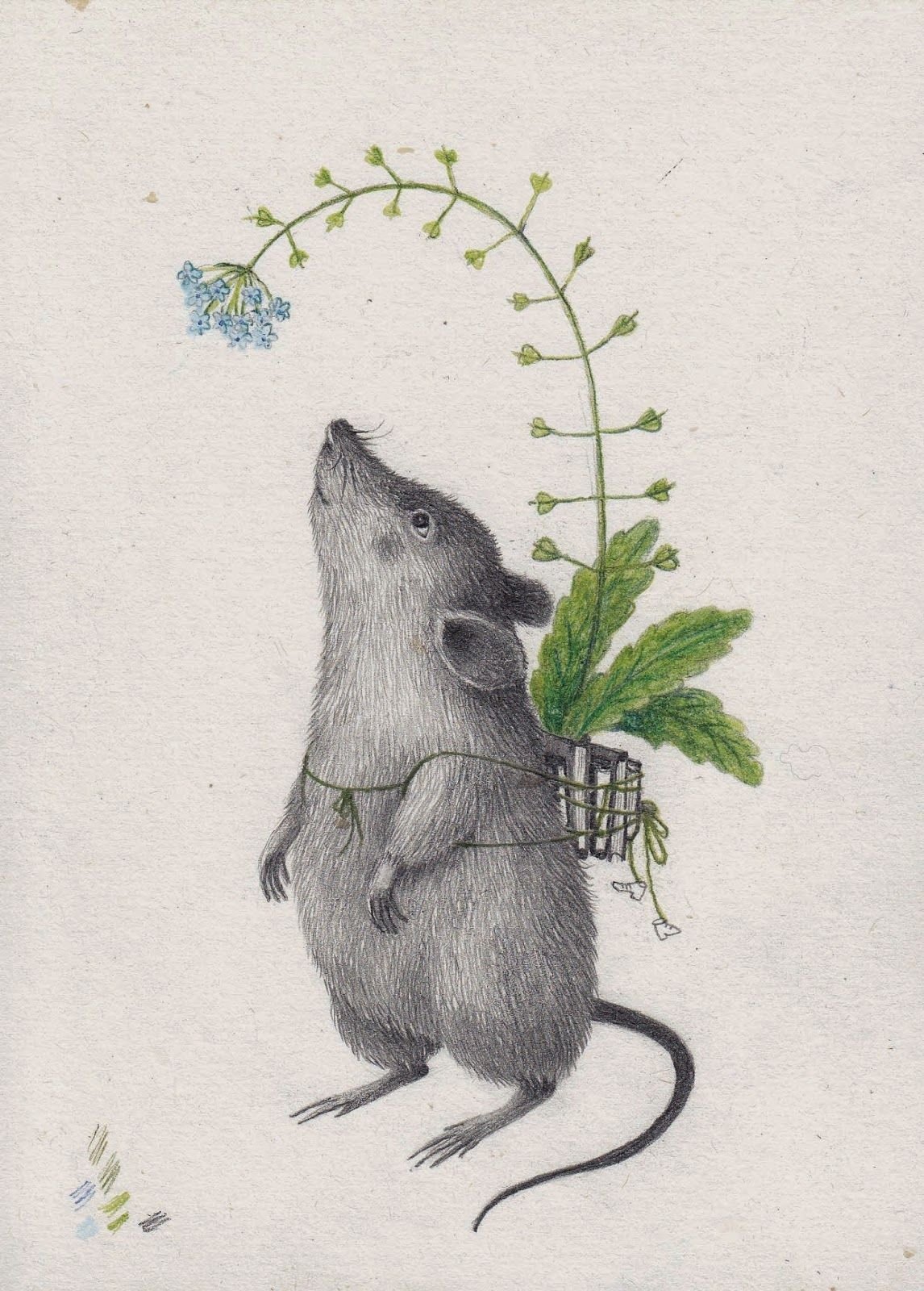 Хомяк со скрипкой. Стилизованная крыса. Мышь иллюстрация. Зарисовка мышки. Крыса иллюстрация.