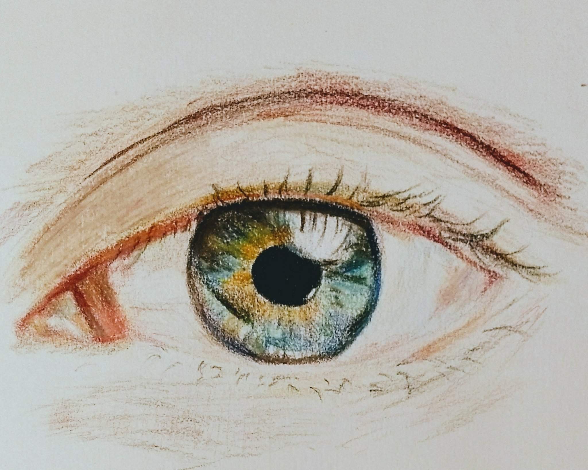 Глаз человека для детей. Глаза для рисования. Глаз и изображение. Глаза рисунок. Глаза нарисованные.