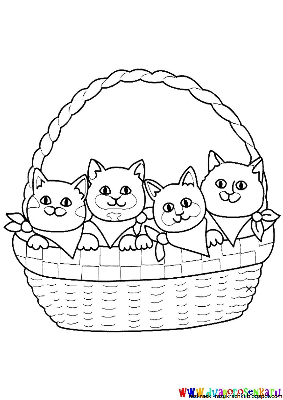 5 кошек раскраска. Раскраска котята в корзинке. Котенок. Раскраска. Раскраска. Котики. Котята в корзинке раскраска для детей.
