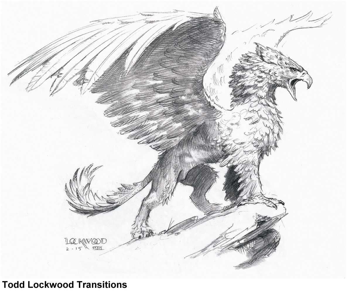 Драгон эйдж Грифон