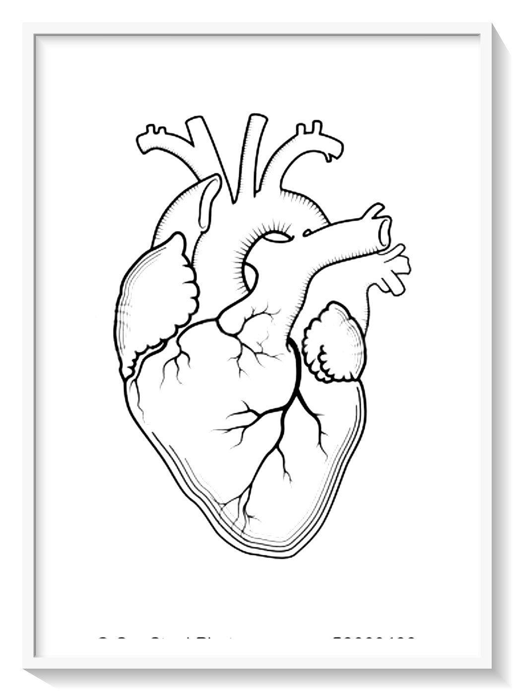 Легкий рисунок сердца человека - 65 фото