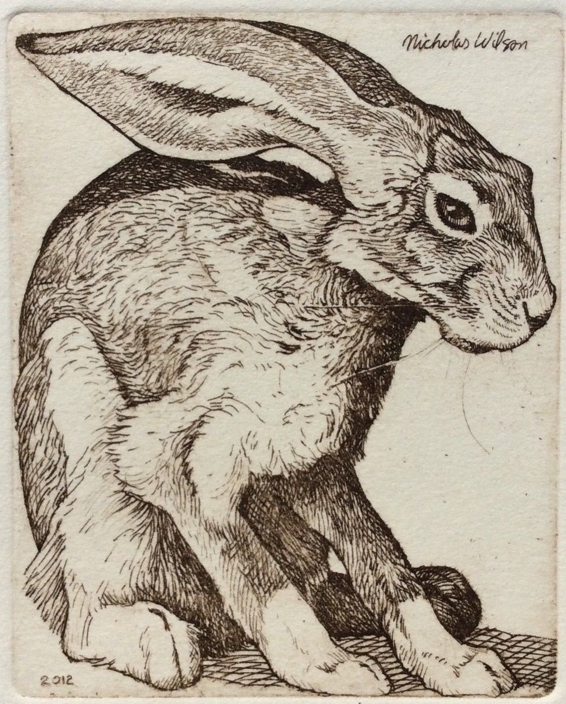 Акватинта кролик