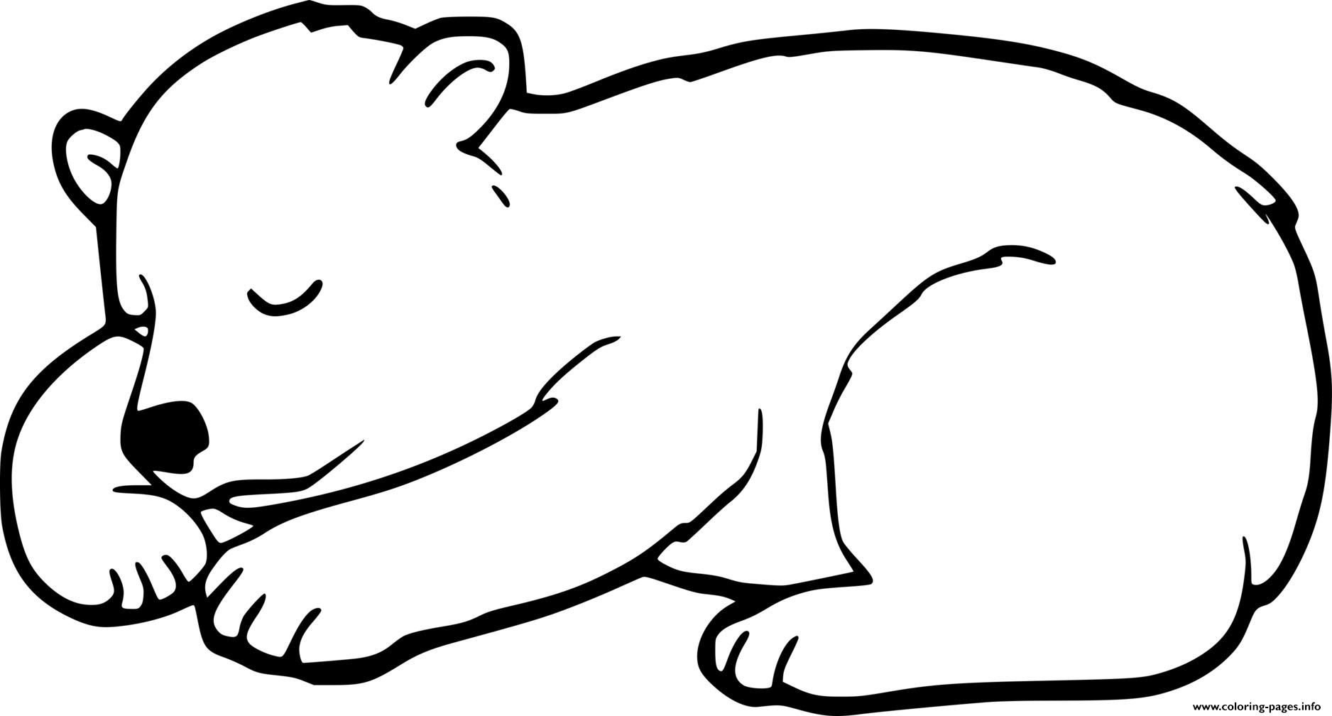 Раскраски Медведь - Для печати - Kids Drawing Hub