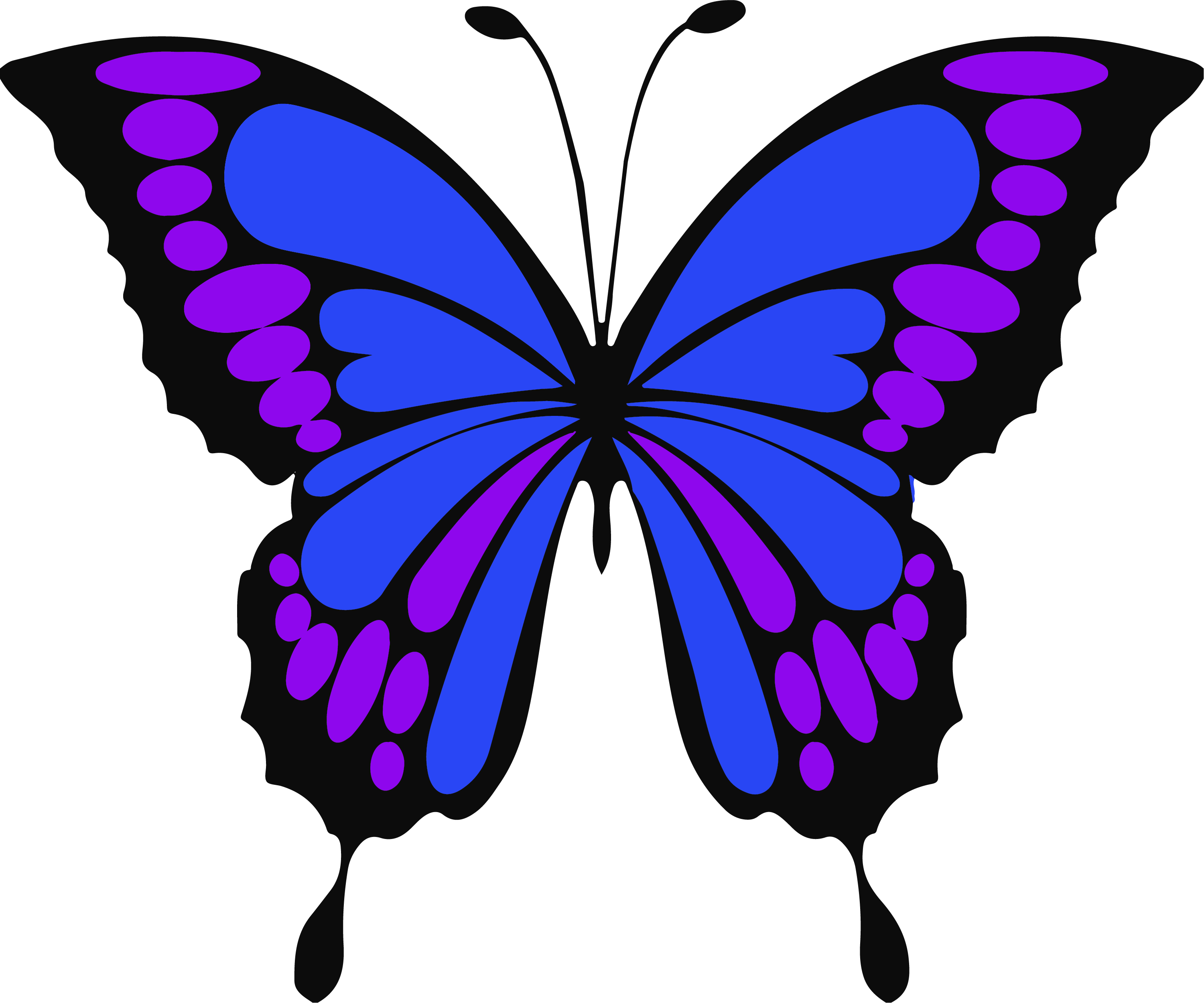 Крылья бабочки svg