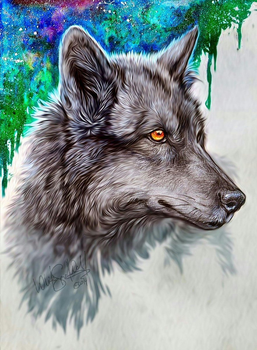 Красивые рисунки волка