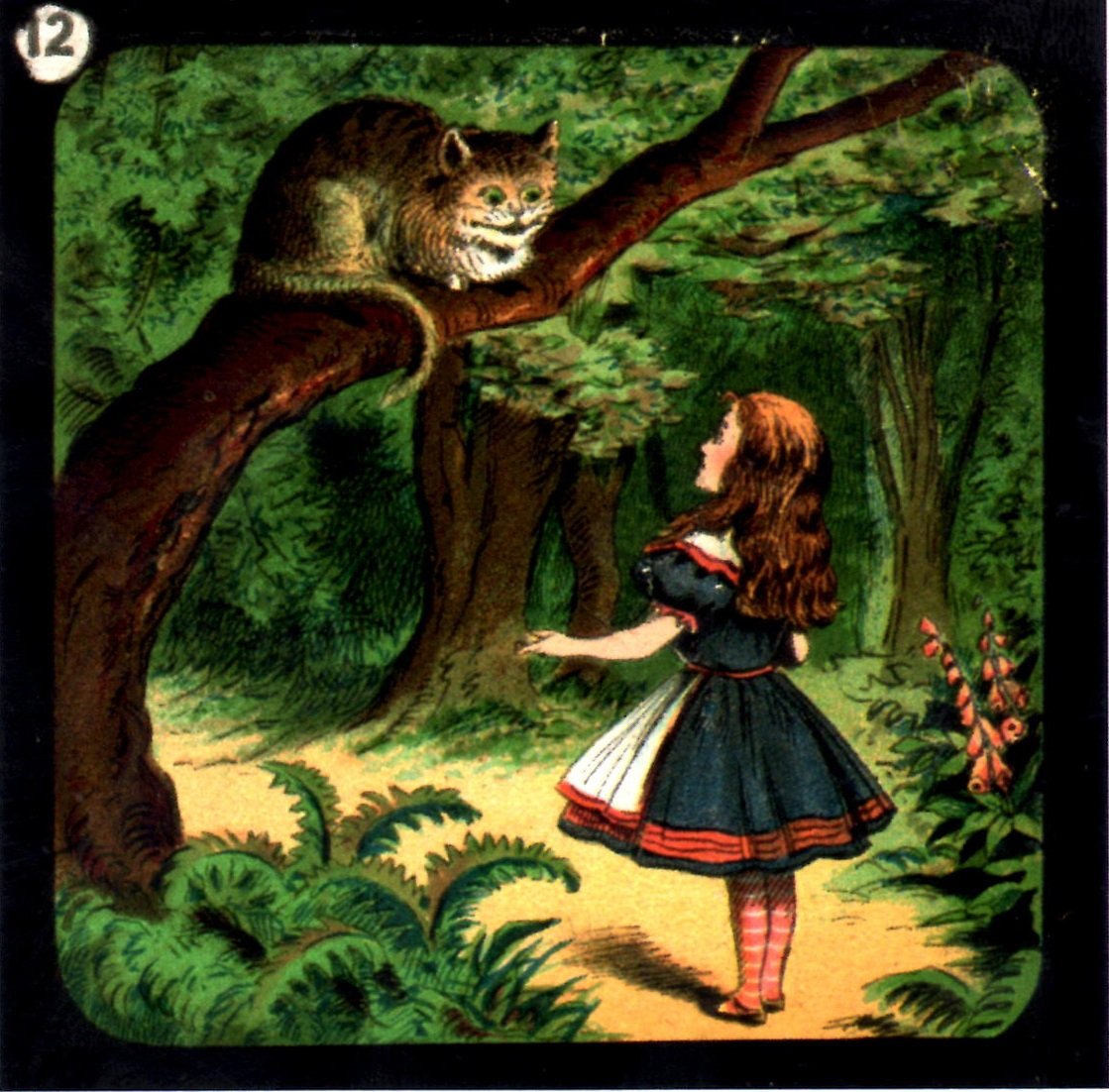 Алиса и чеширский кот. Alice Wonderland Льюис Кэрролл. Алиса в стране чудес иллюстрации Льюиса Кэрролла. Джон Тенниел Алиса в стране чудес. Чеширский кот Алиса в стране чудес.
