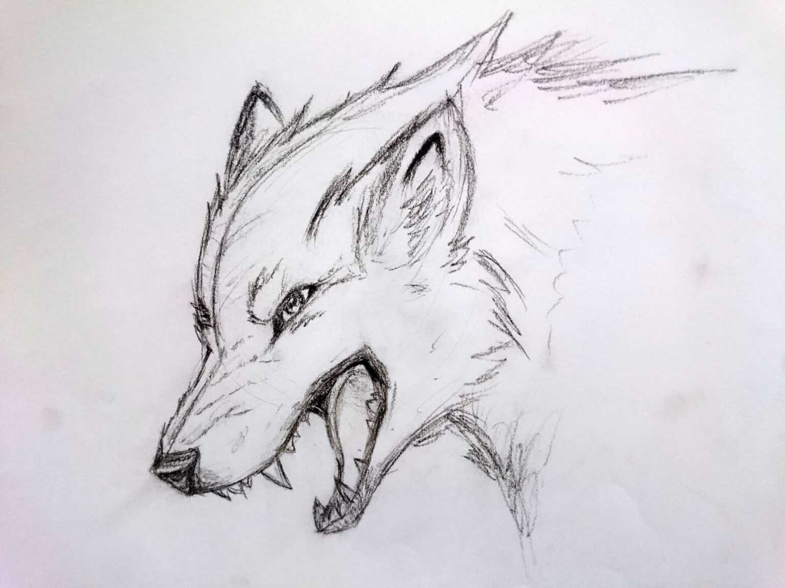 Легкий эскиз карандашом. Волк рисунок. Волк для срисовки. Волк карандашом. Рисунки Волков карандашом.