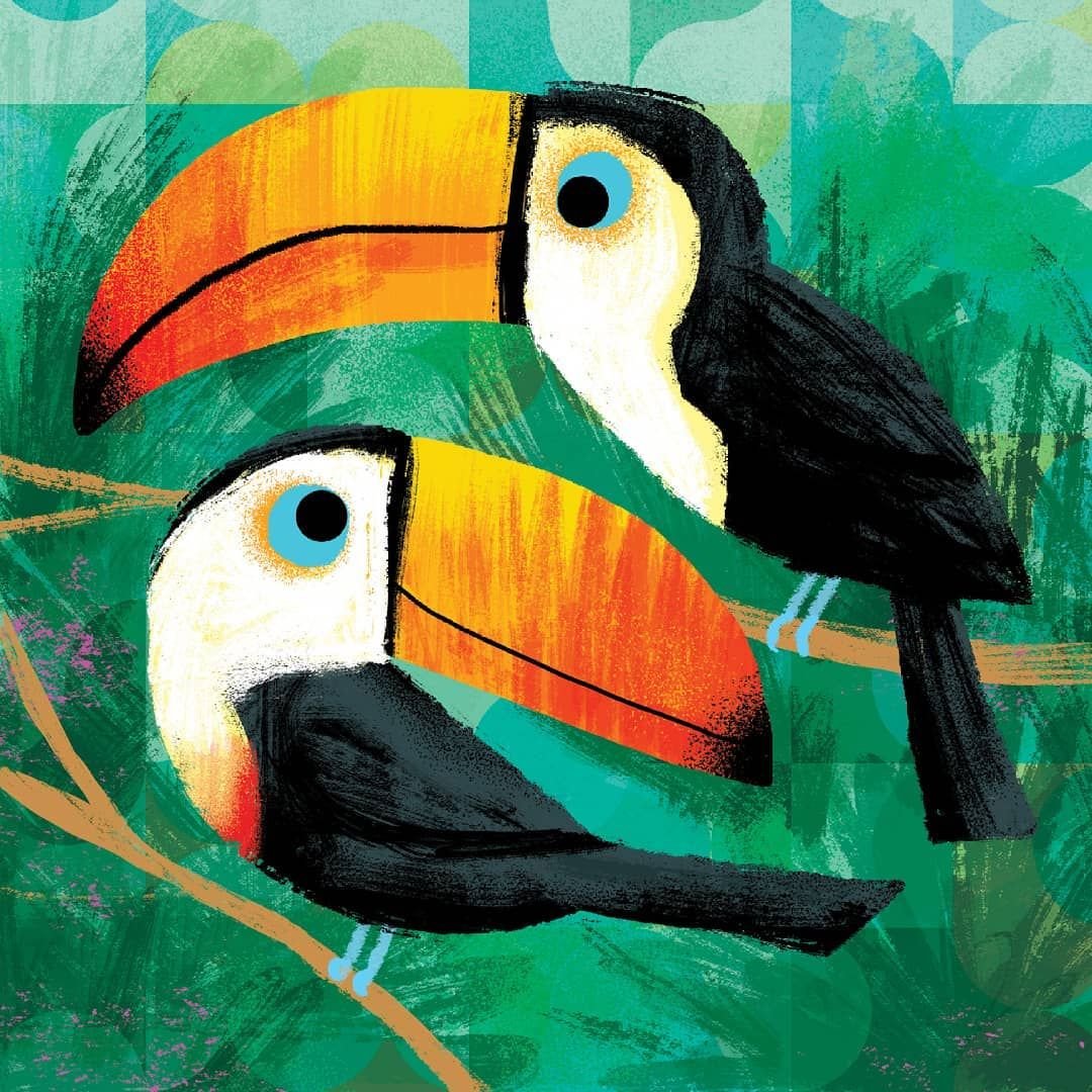 Рисунок тукан - 73 фото