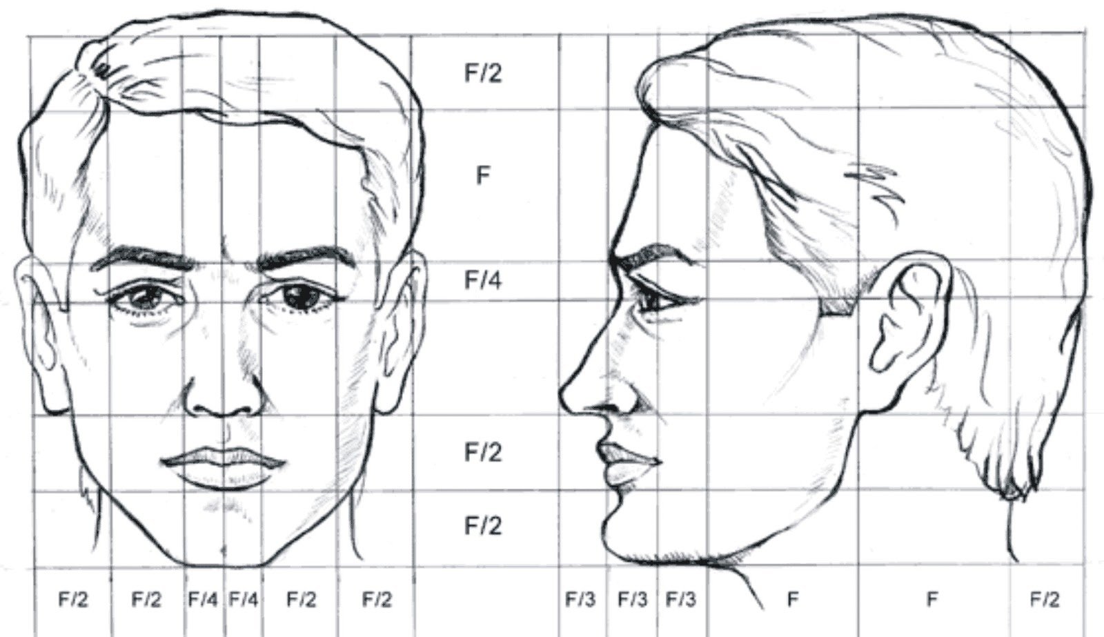 Рассматривая два снимка или портрета одного человека. Пропорции лица человека ФАС профиль. Пропорции головы человека анфас и профиль. Пропорции портретов сбоку. Пропорции женского лица в профиль и анфас.