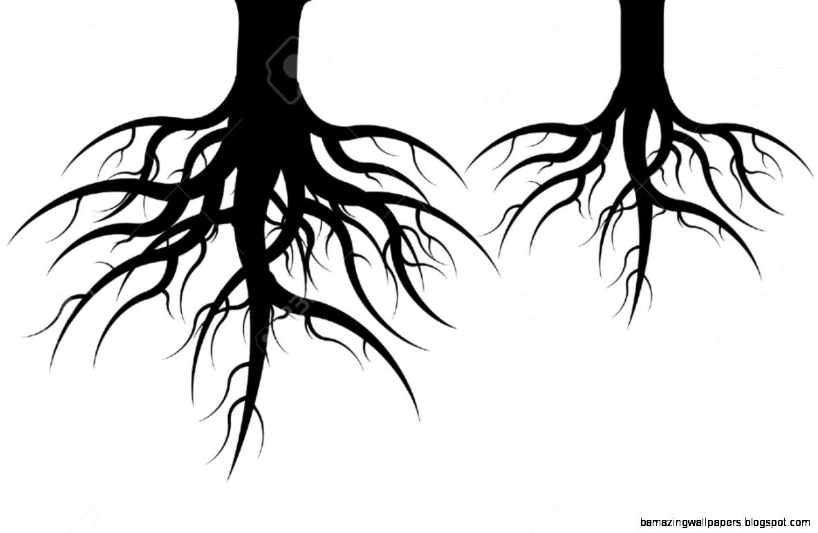 Корни черно белая. Корни дерева. Черные корни дерева. Корни вектор. Дерево с корнями вектор.