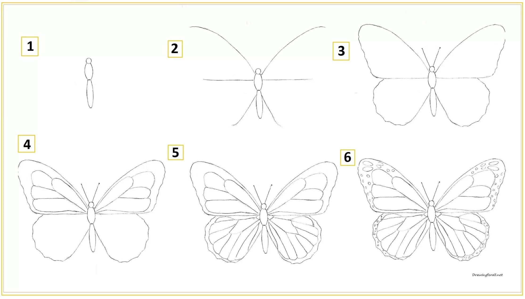 Как нарисовать бабочку поэтапно