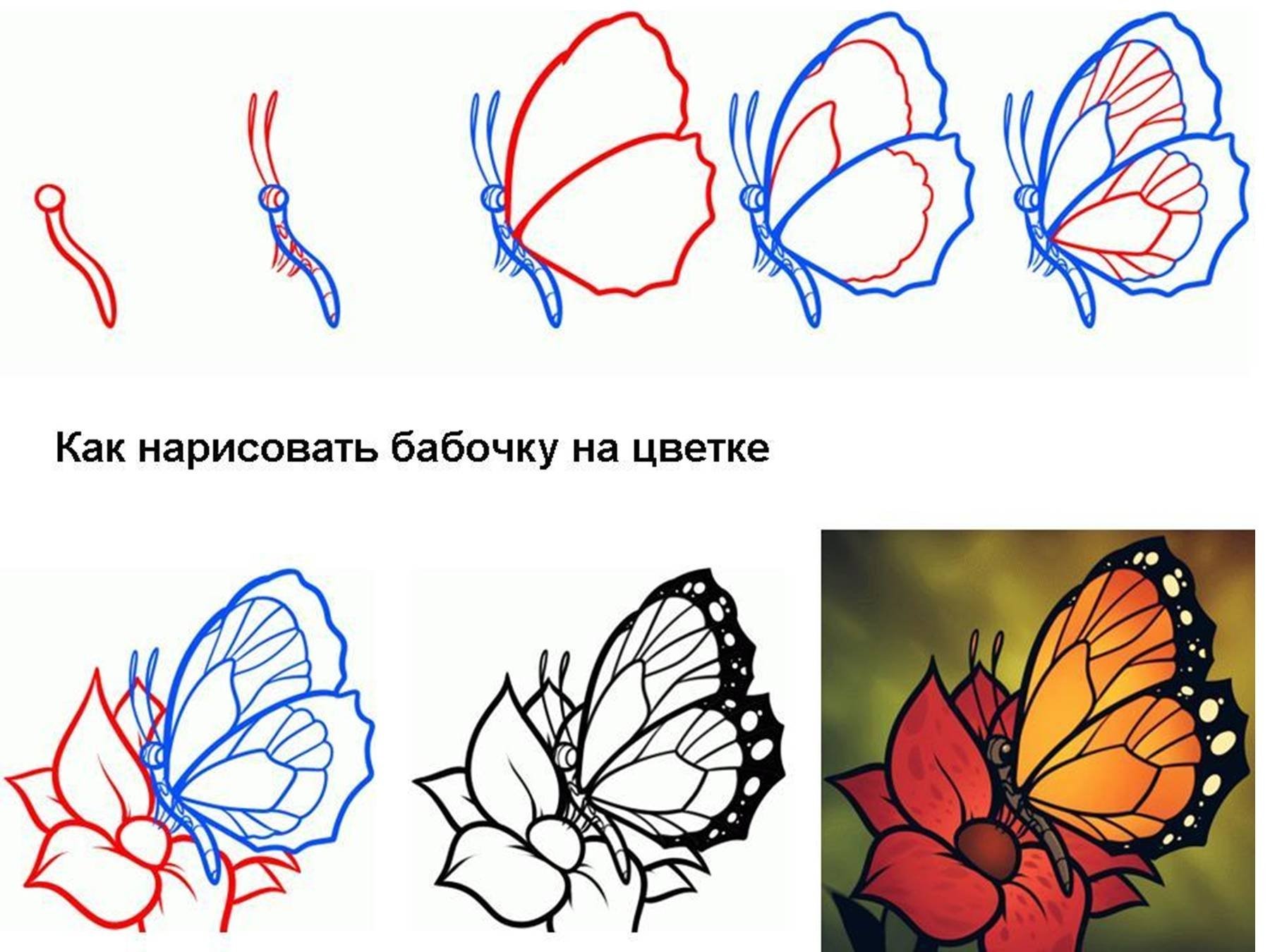 Как нарисовать бабочку карандашом поэтапно ✏